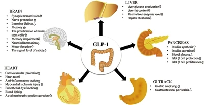 Semaglutide fel cyffur arloesol mewn triniaeth diabetes math 2